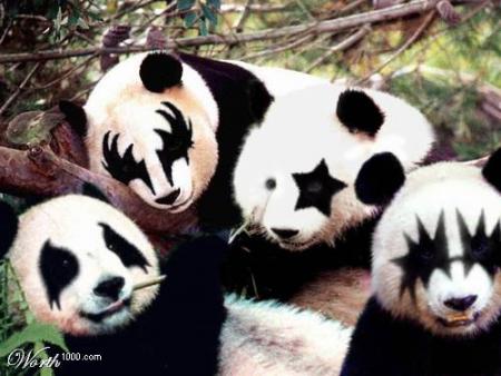 pandas groupe