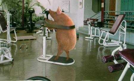 porc